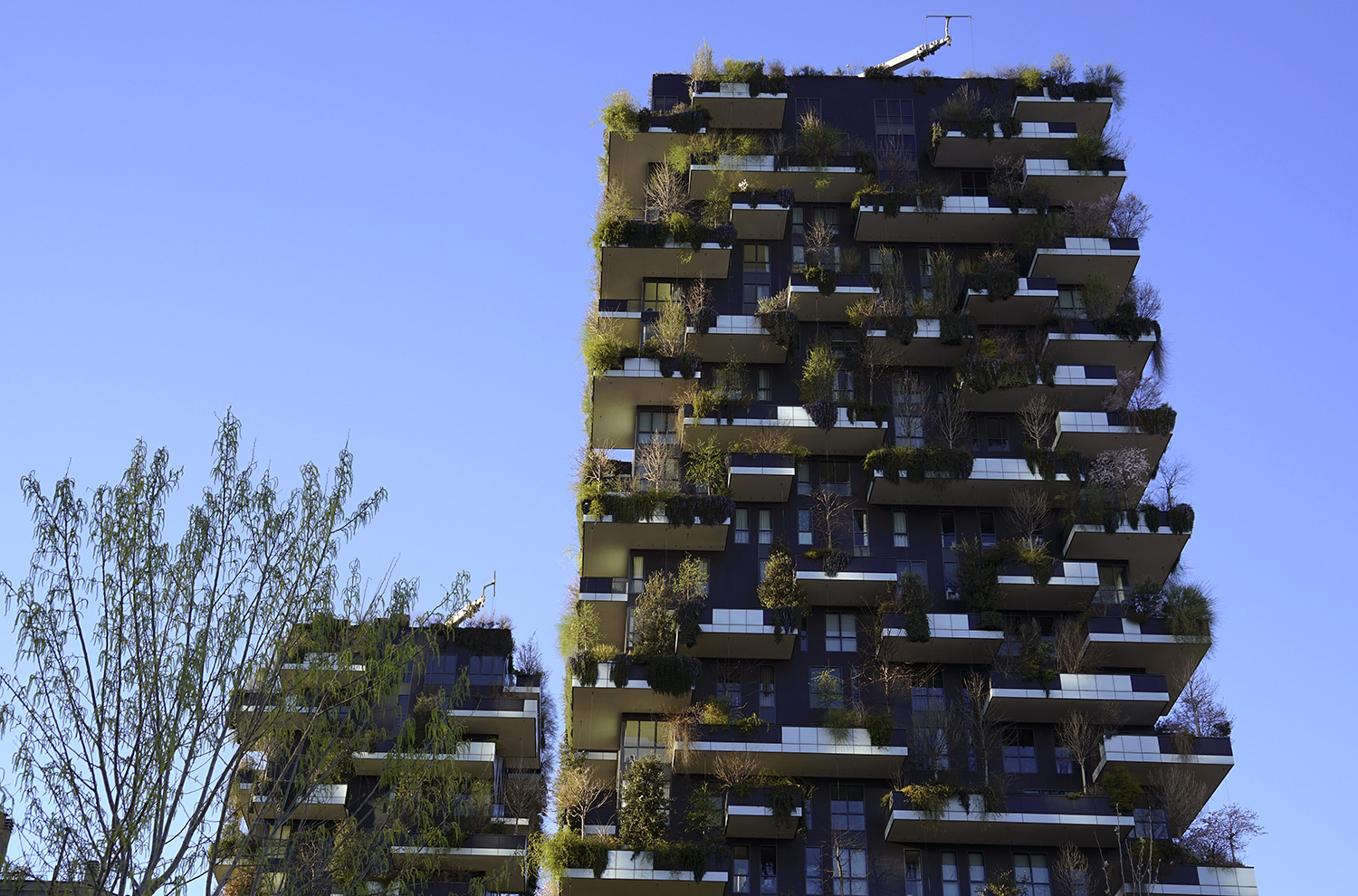 bosco-verticale-milano-1