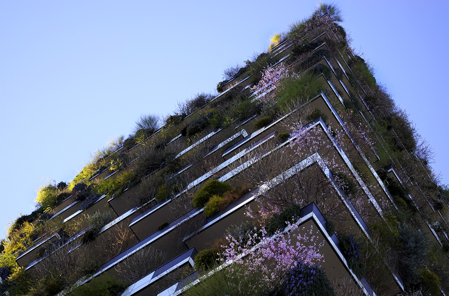 bosco-verticale-milano-2